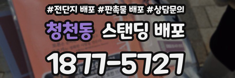 청천동 스탠딩 배포
