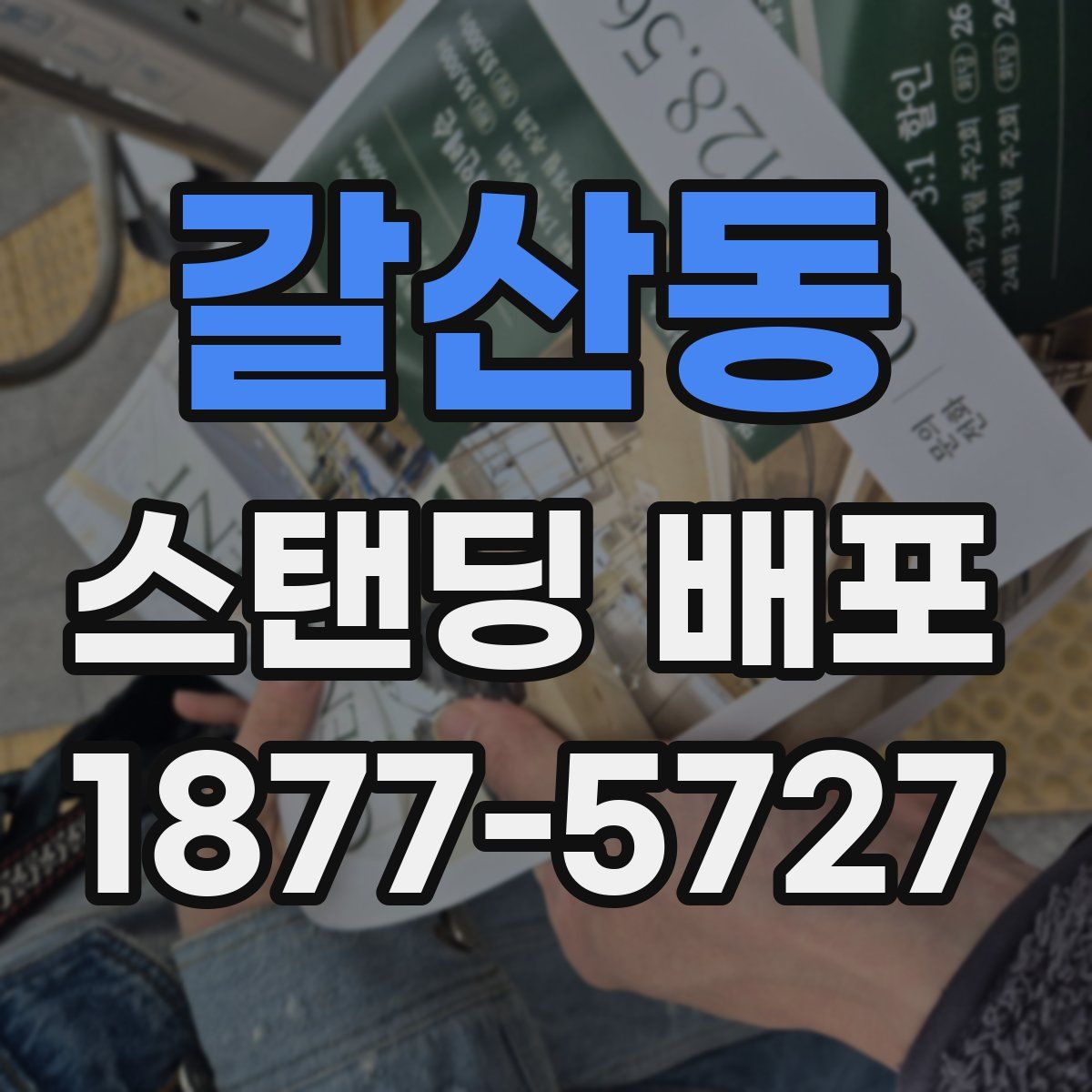 갈산동 스탠딩 배포
