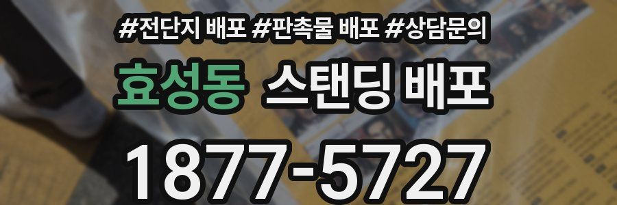 효성동 스탠딩 배포