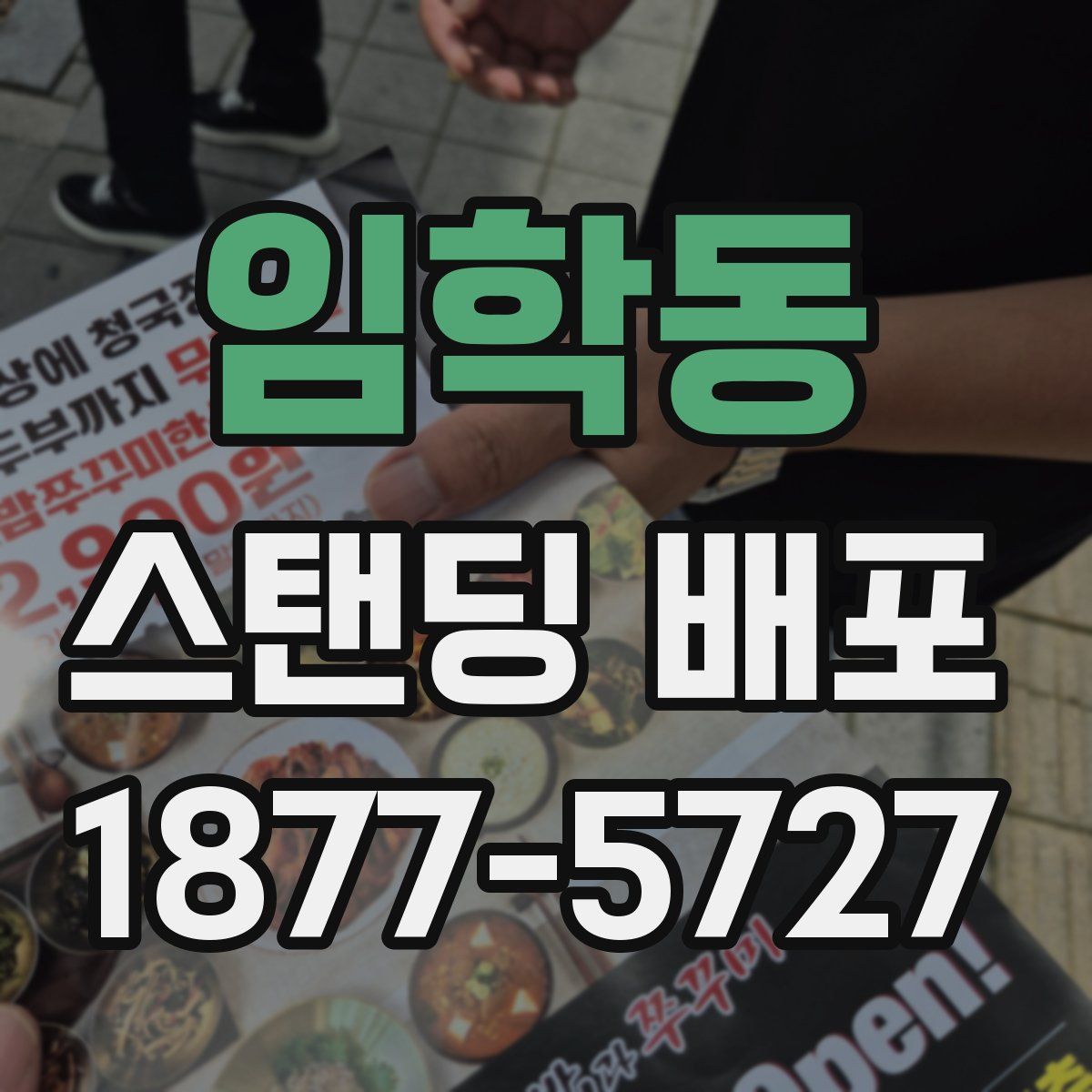 임학동 스탠딩 배포