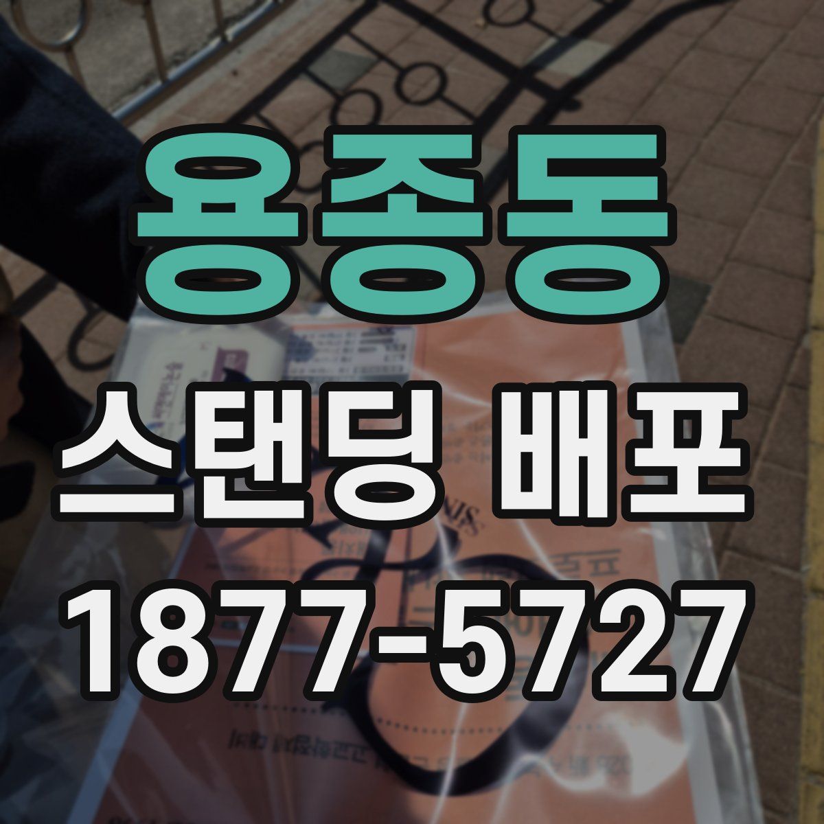 용종동 스탠딩 배포