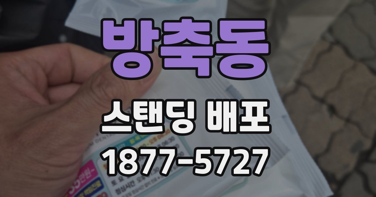 방축동 스탠딩 배포