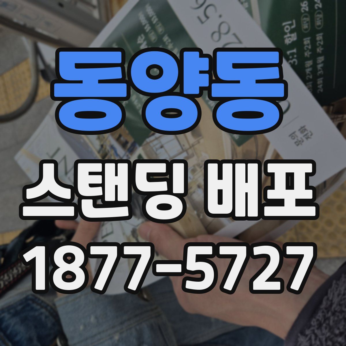 동양동 스탠딩 배포