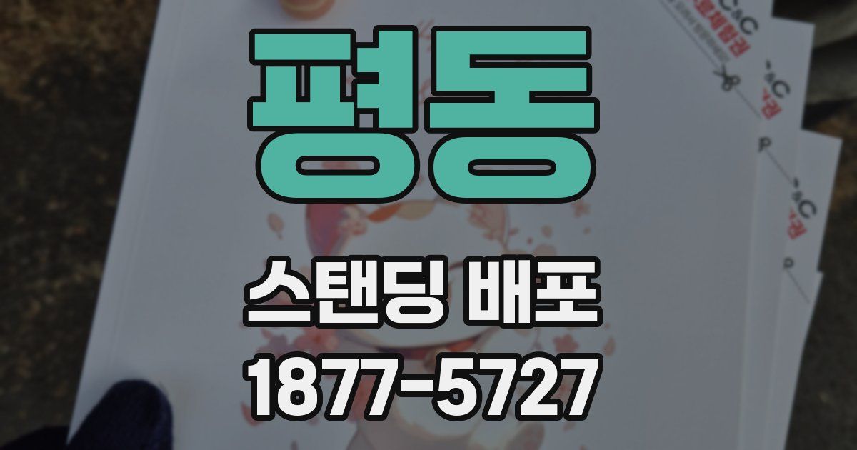 평동 스탠딩 배포