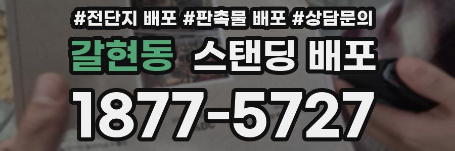 갈현동 스탠딩 배포