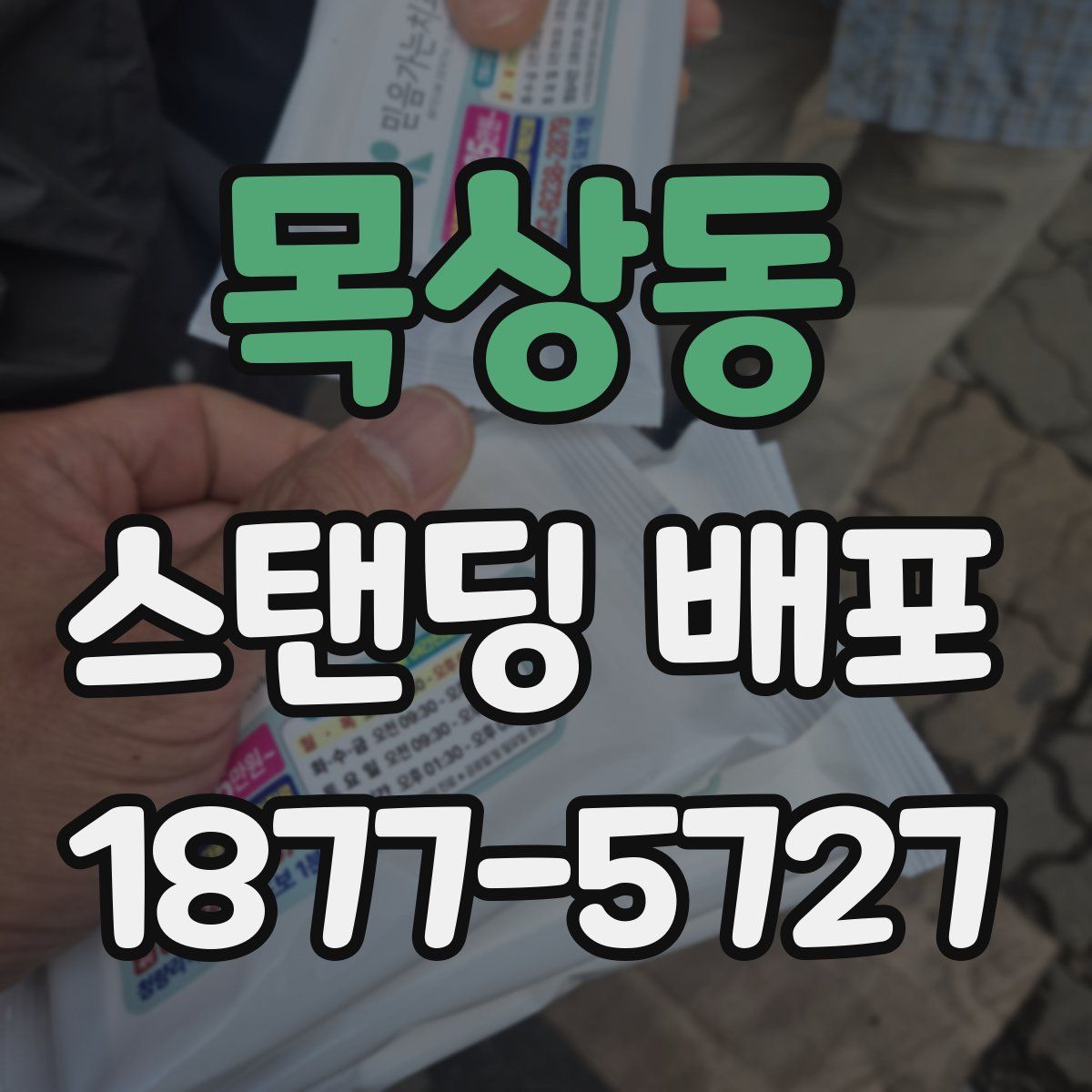 목상동 스탠딩 배포