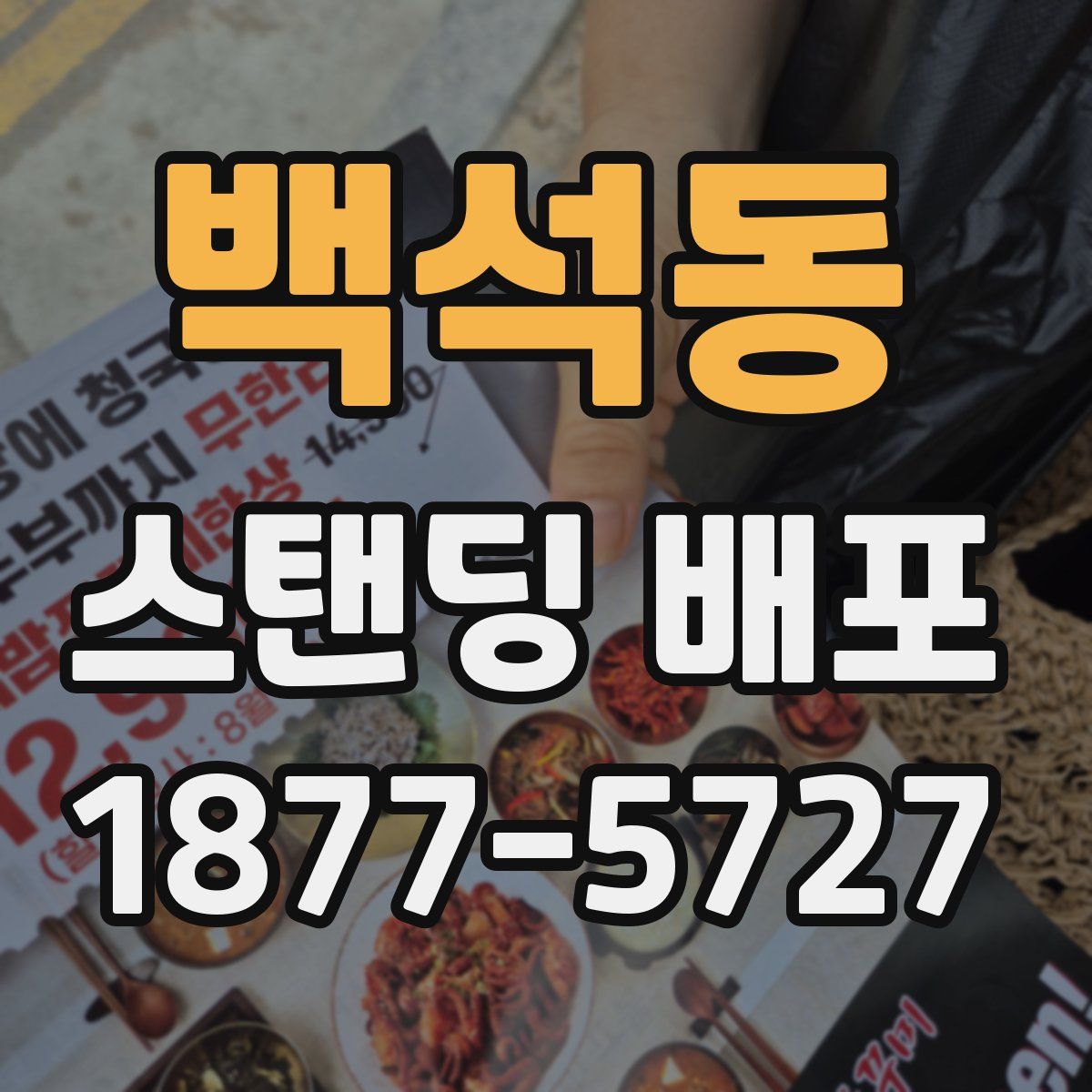 백석동 스탠딩 배포