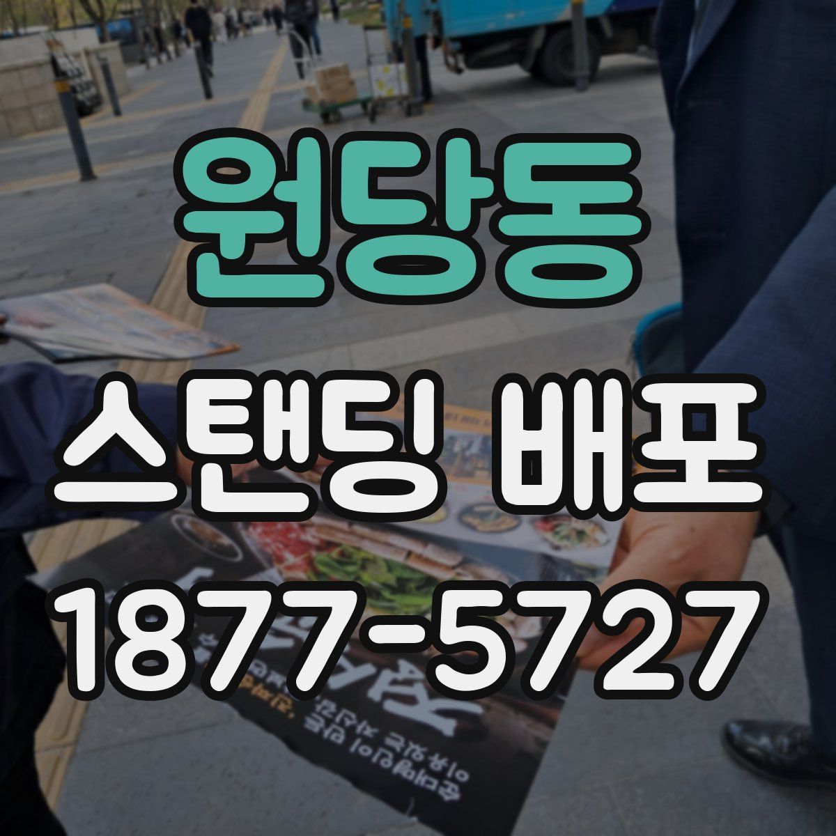 원당동 스탠딩 배포