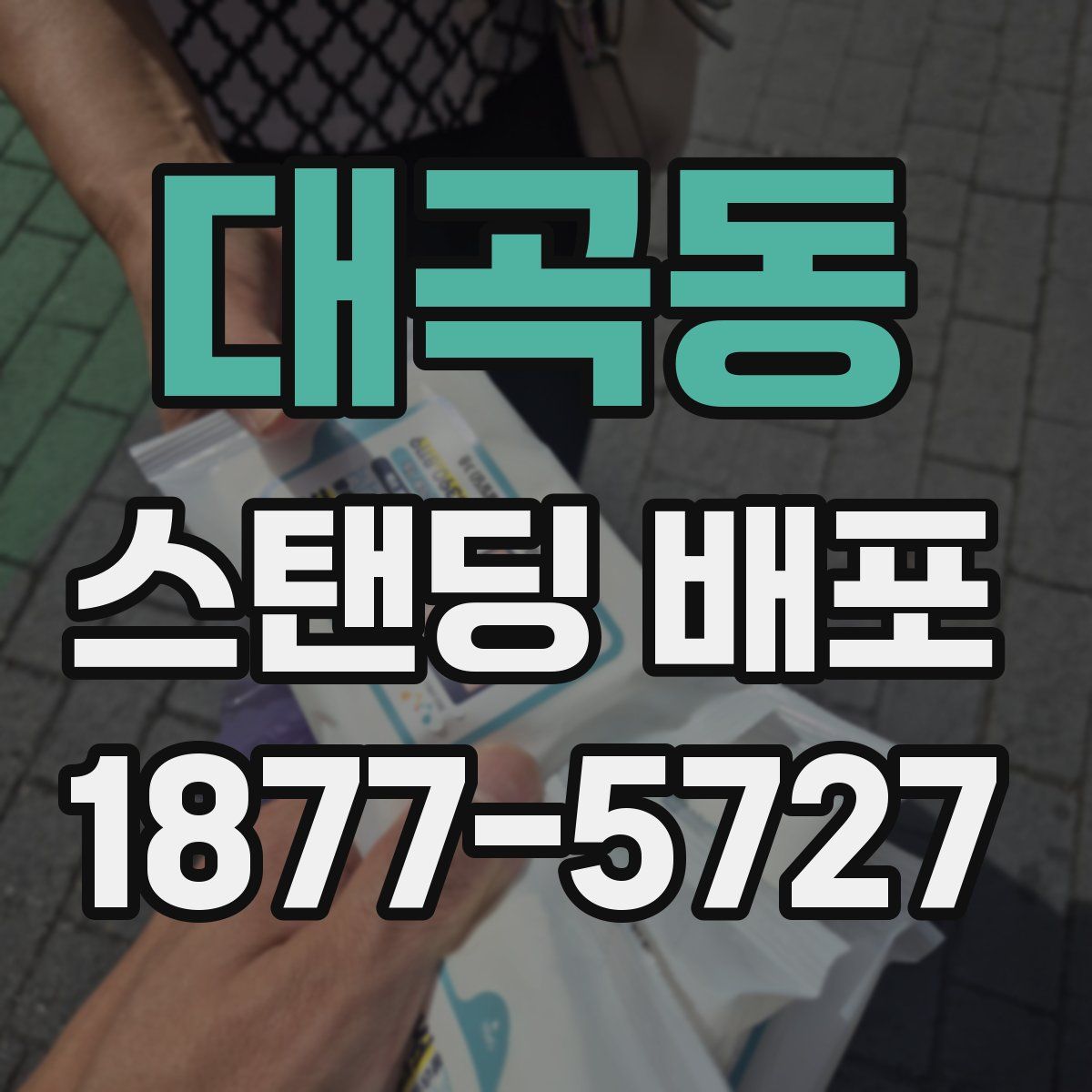 대곡동 스탠딩 배포