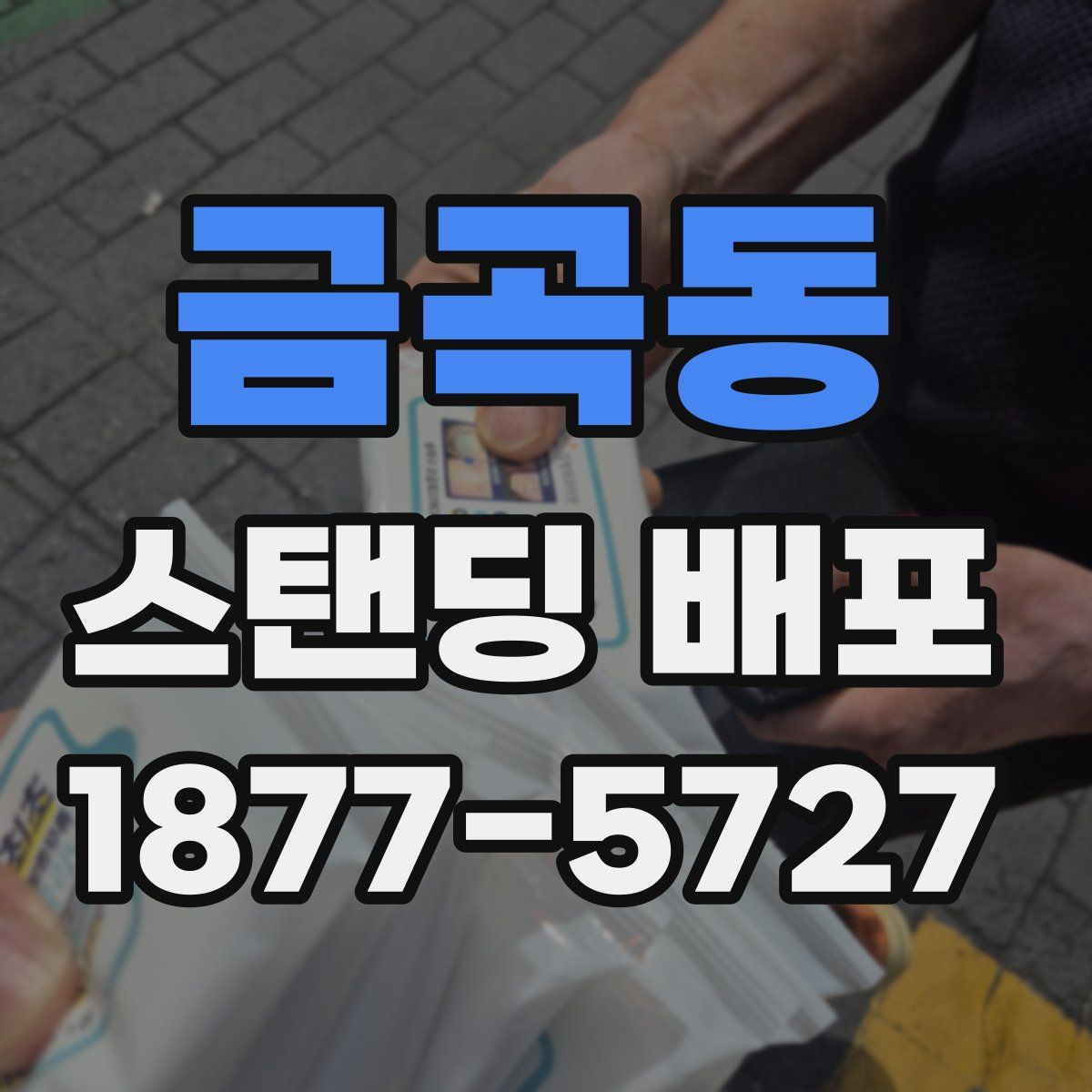 금곡동 스탠딩 배포