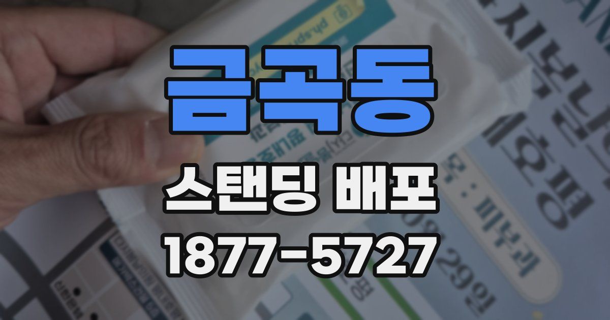 금곡동 스탠딩 배포