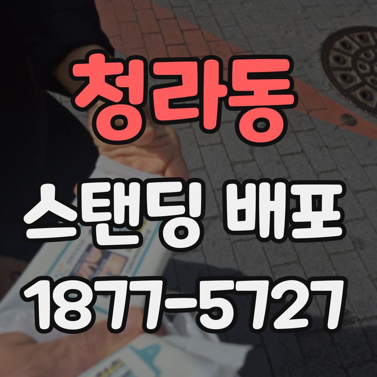 청라동 스탠딩 배포