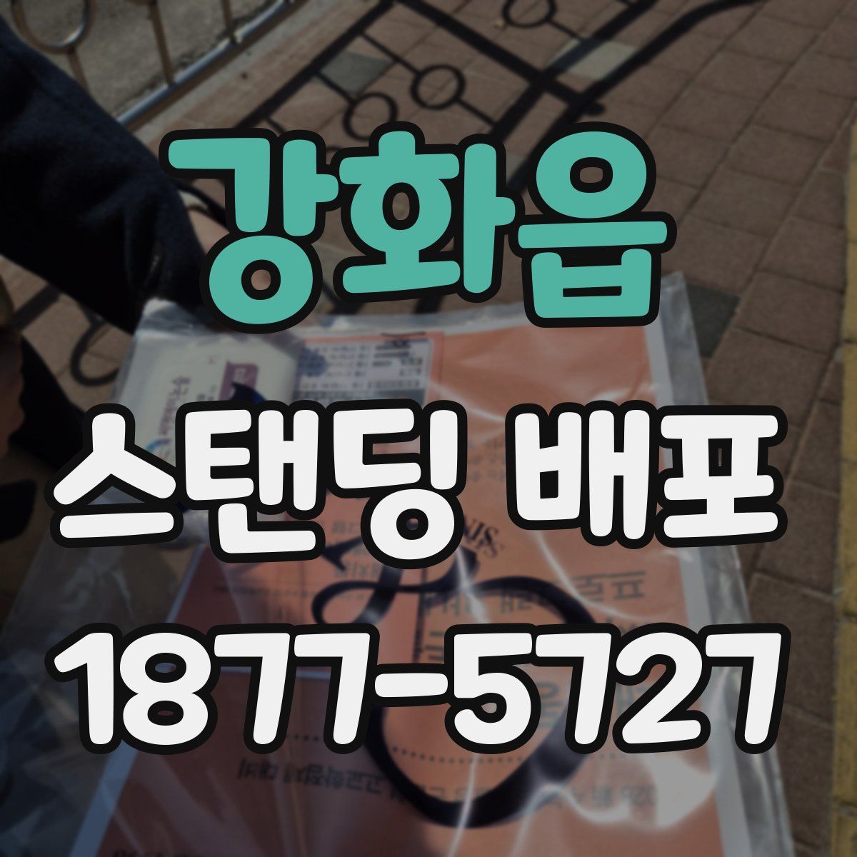 강화읍 스탠딩 배포