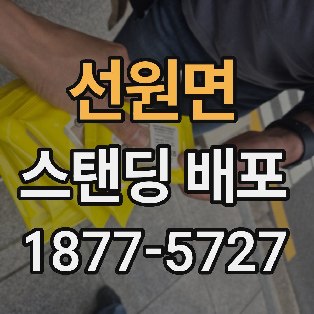 선원면 스탠딩 배포