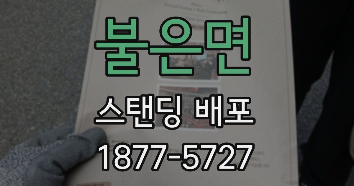 불은면 스탠딩 배포