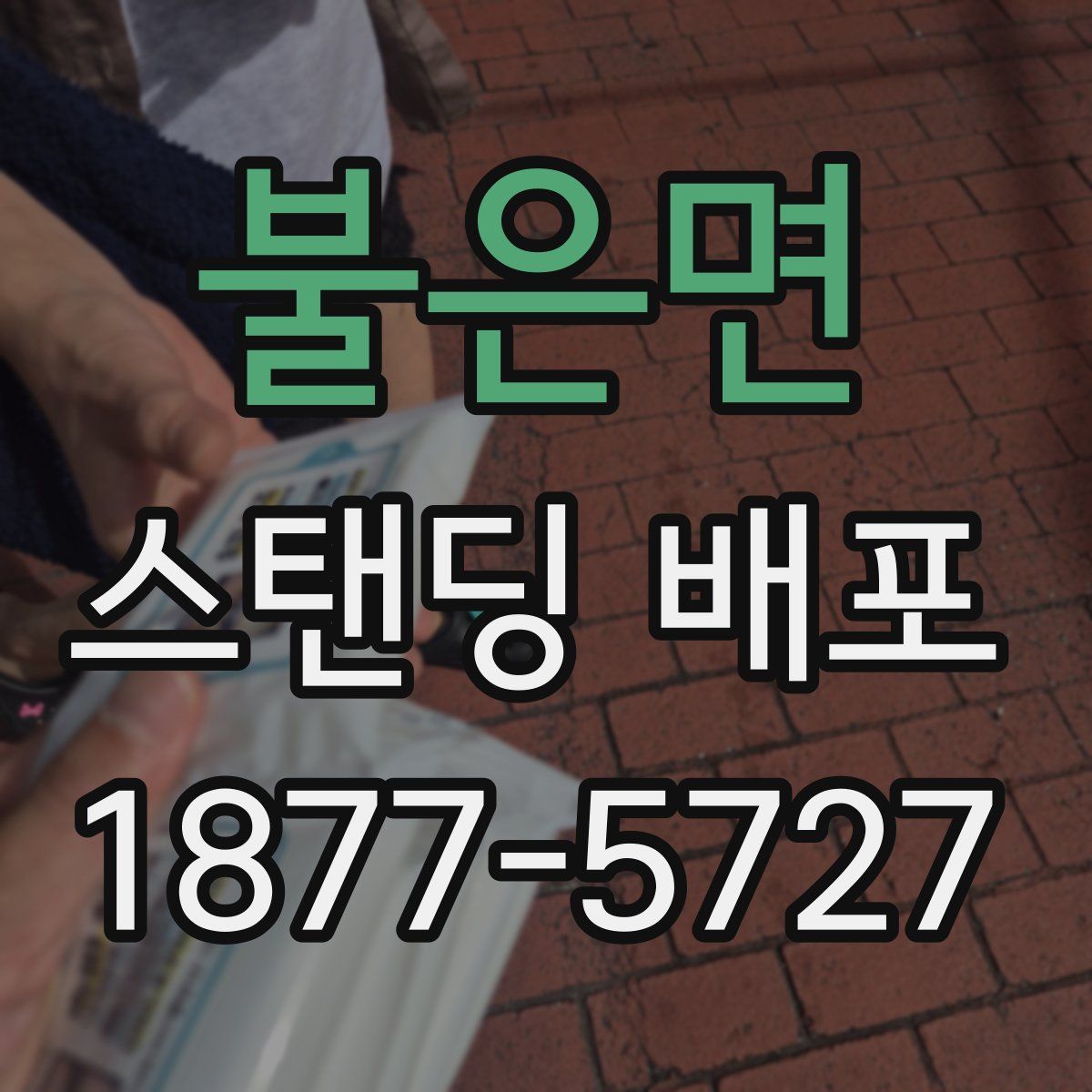 불은면 스탠딩 배포