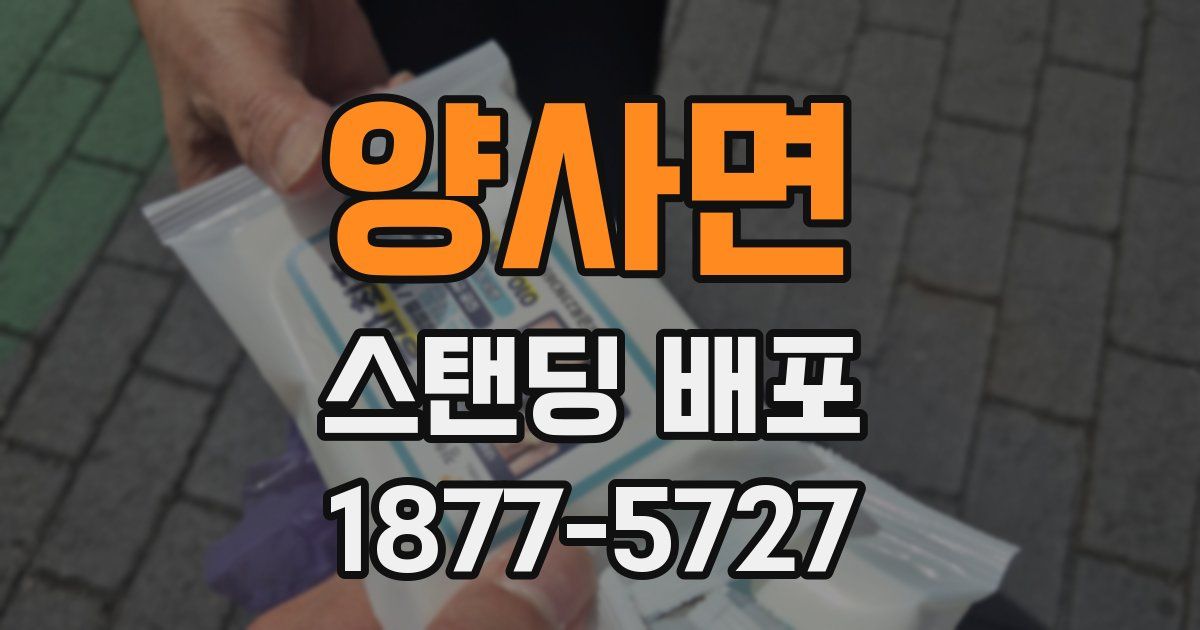 양사면 스탠딩 배포