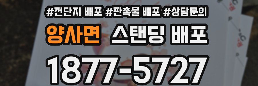 양사면 스탠딩 배포