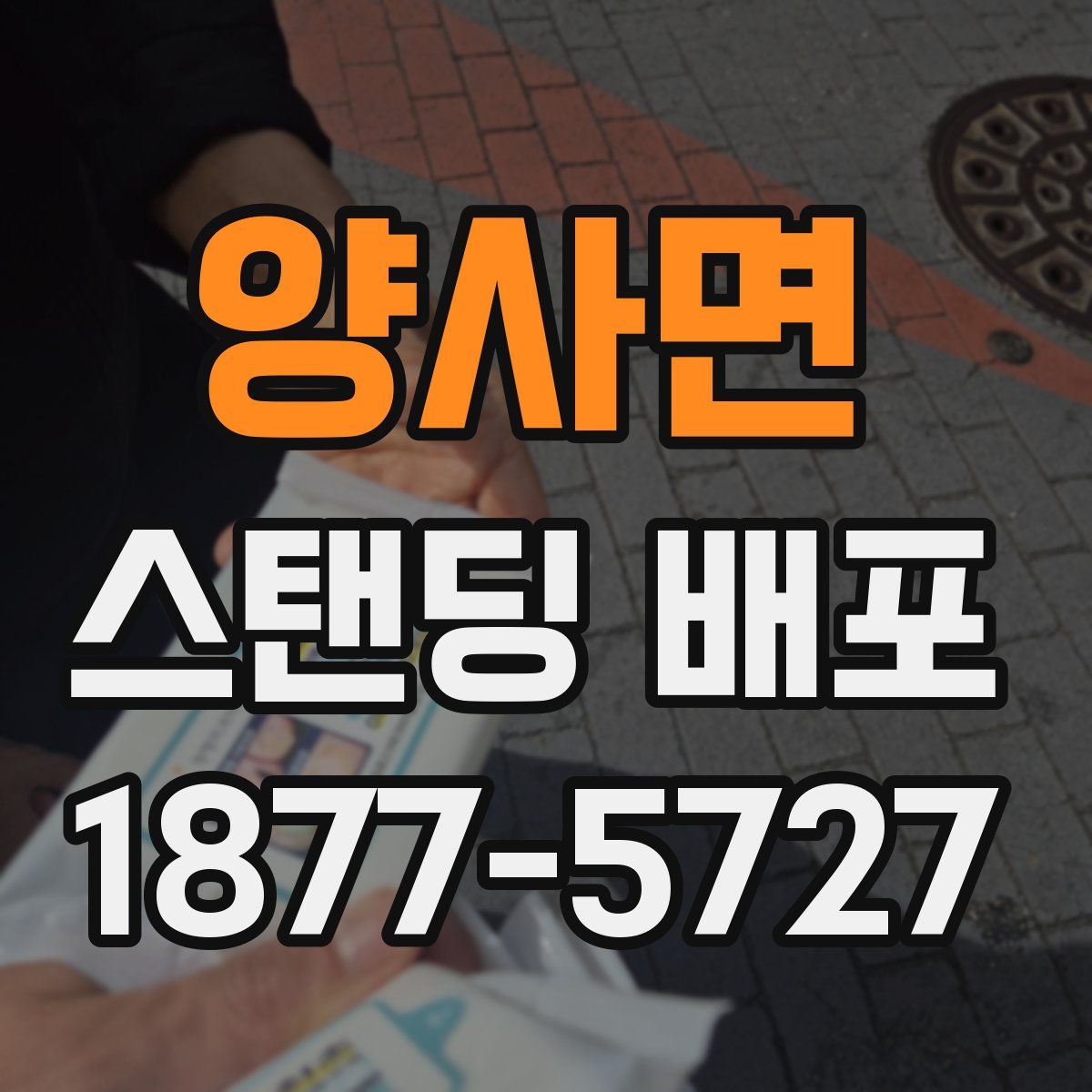 양사면 스탠딩 배포