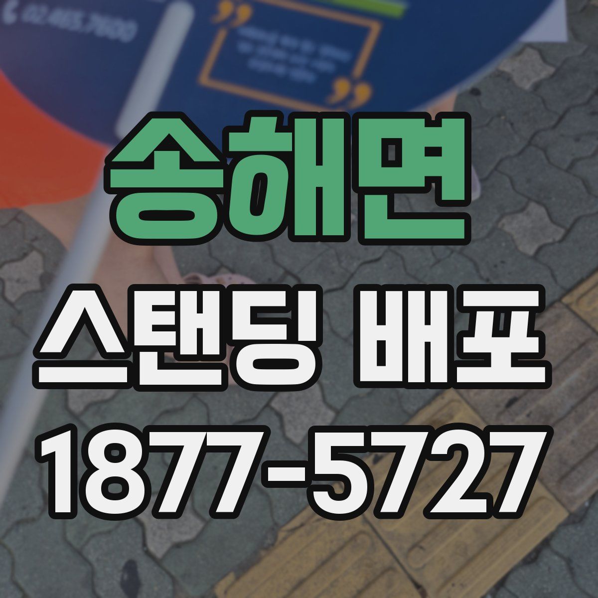 송해면 스탠딩 배포