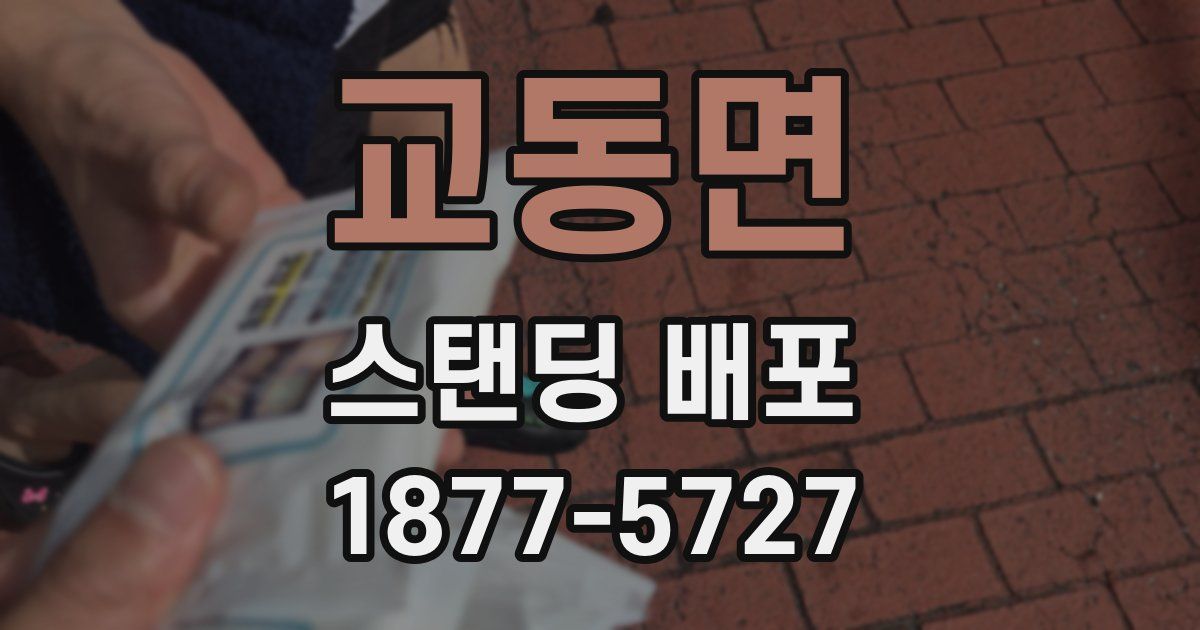 교동면 스탠딩 배포
