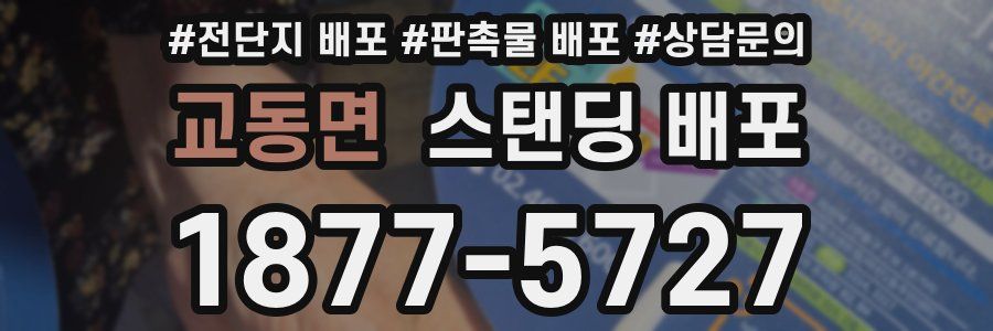 교동면 스탠딩 배포
