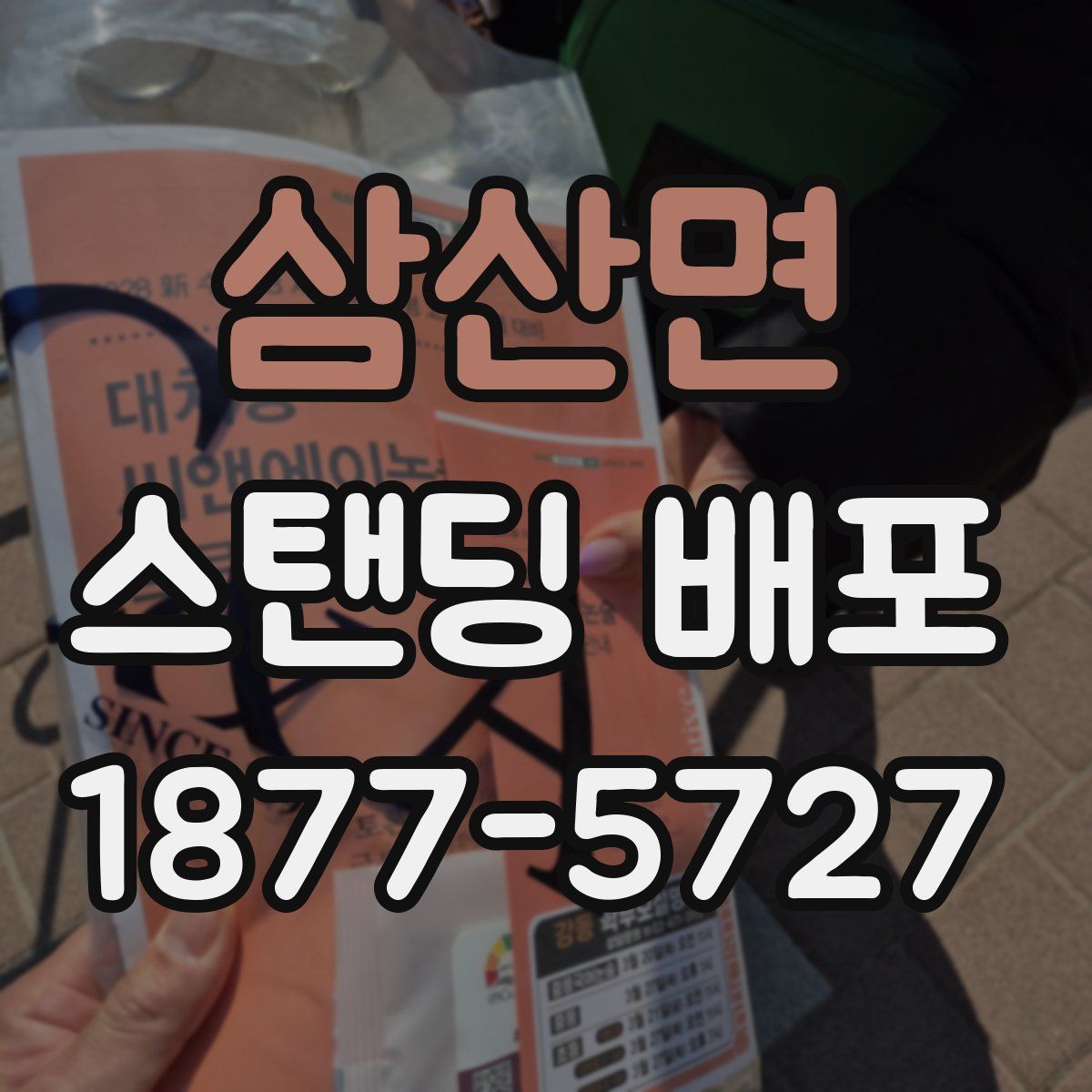 삼산면 스탠딩 배포