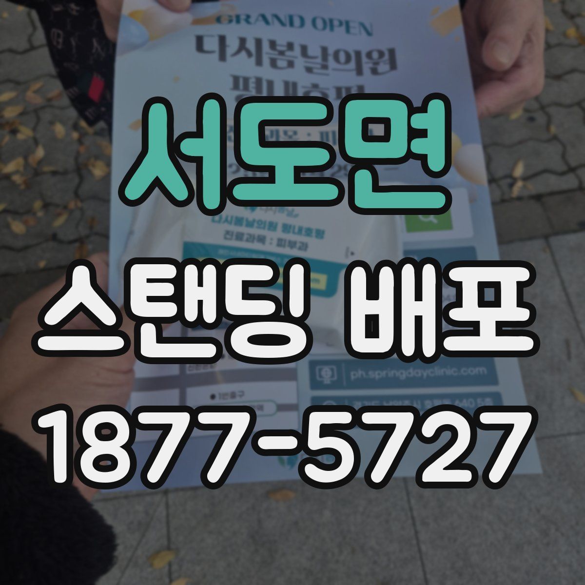 서도면 스탠딩 배포