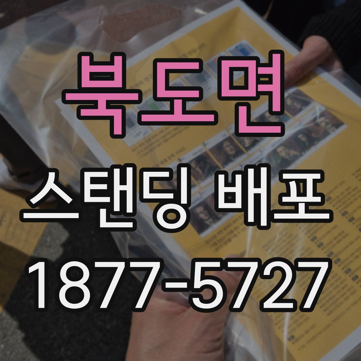 북도면 스탠딩 배포