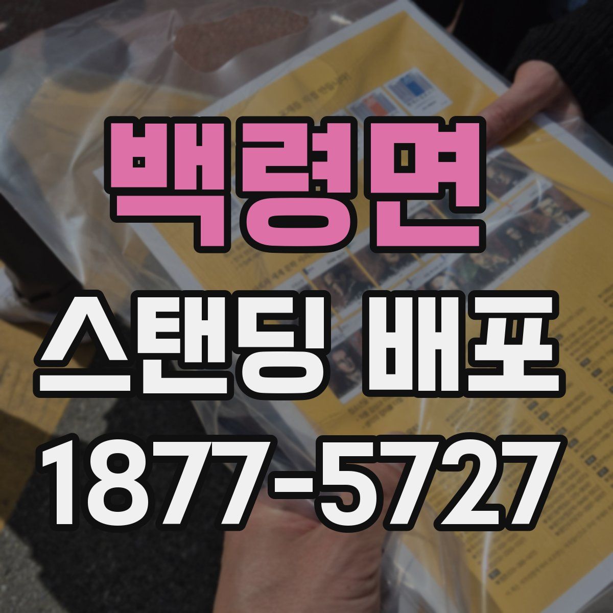 백령면 스탠딩 배포