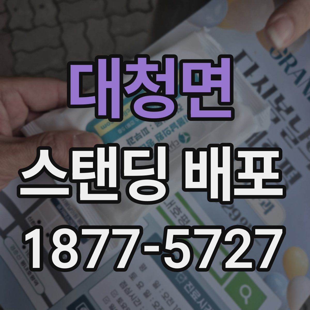 대청면 스탠딩 배포