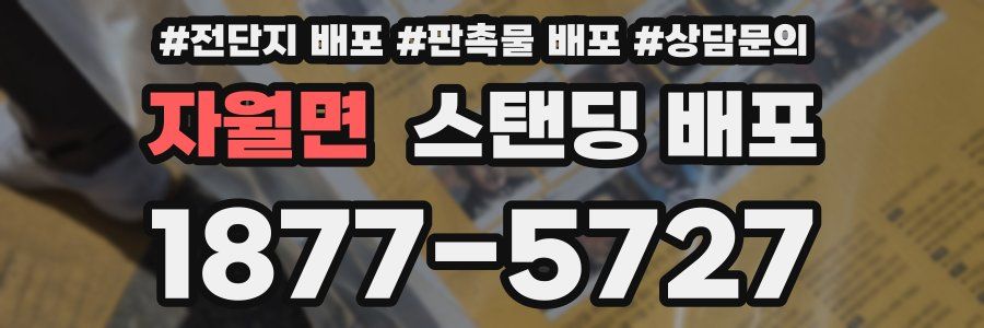자월면 스탠딩 배포