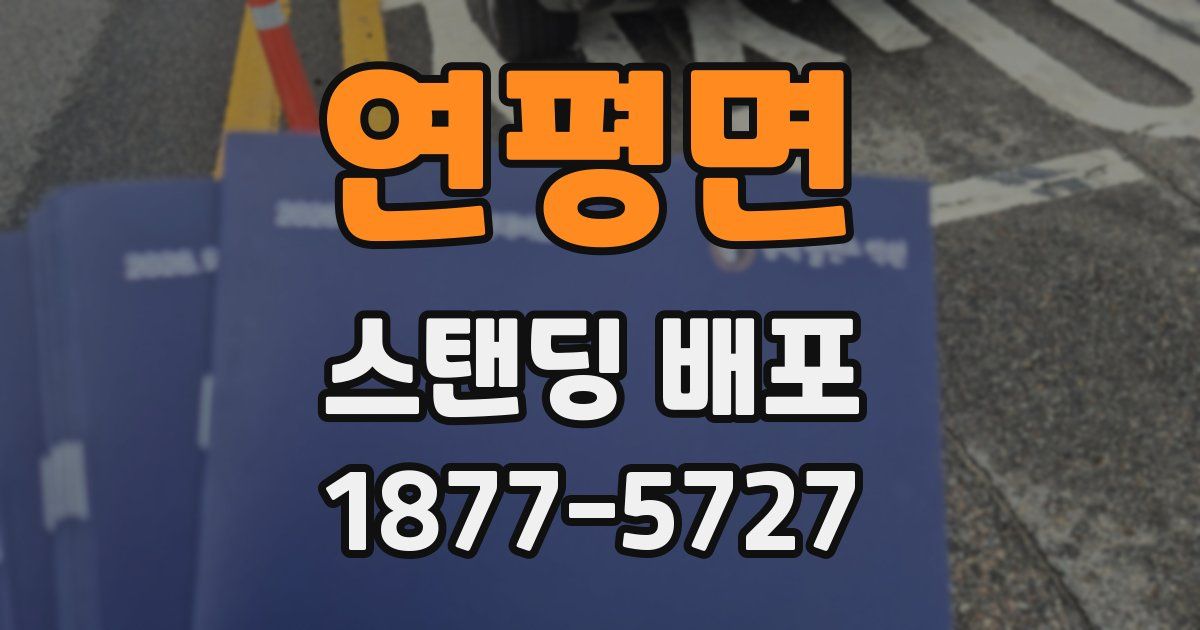 연평면 스탠딩 배포