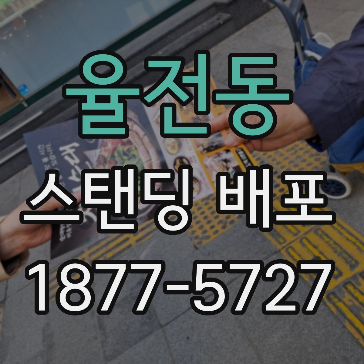 율전동 스탠딩 배포