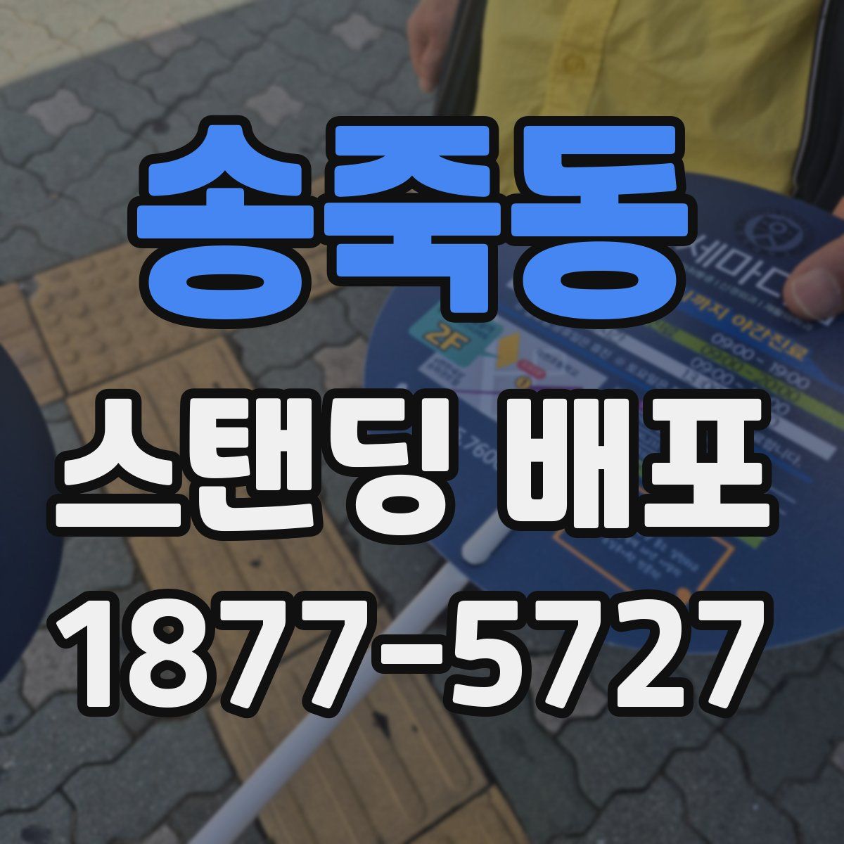 송죽동 스탠딩 배포