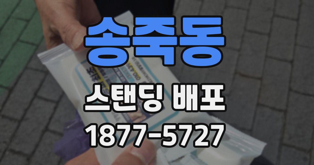 송죽동 스탠딩 배포