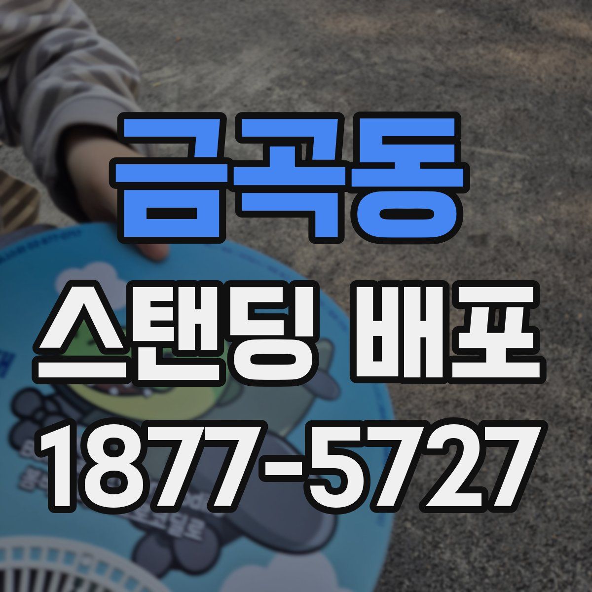 금곡동 스탠딩 배포