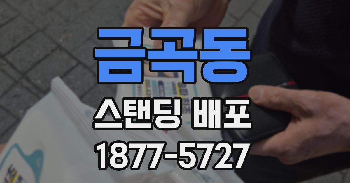 금곡동 스탠딩 배포
