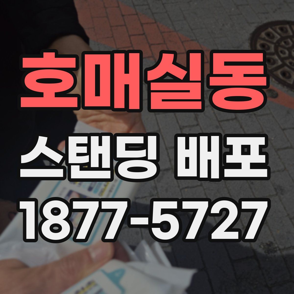 호매실동 스탠딩 배포