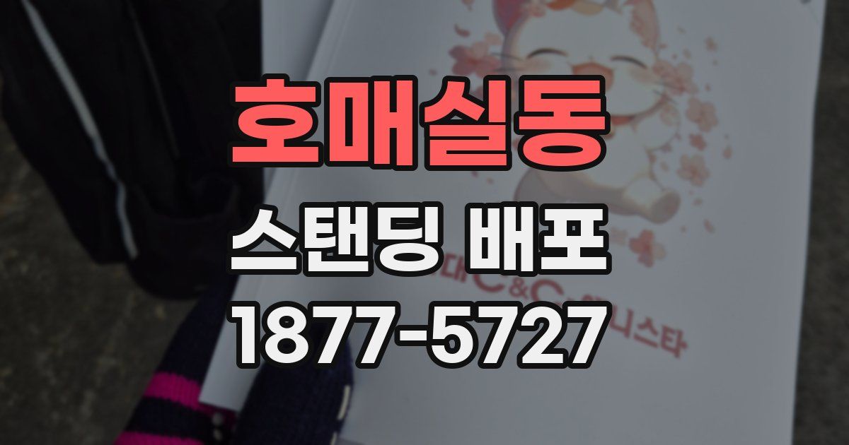호매실동 스탠딩 배포