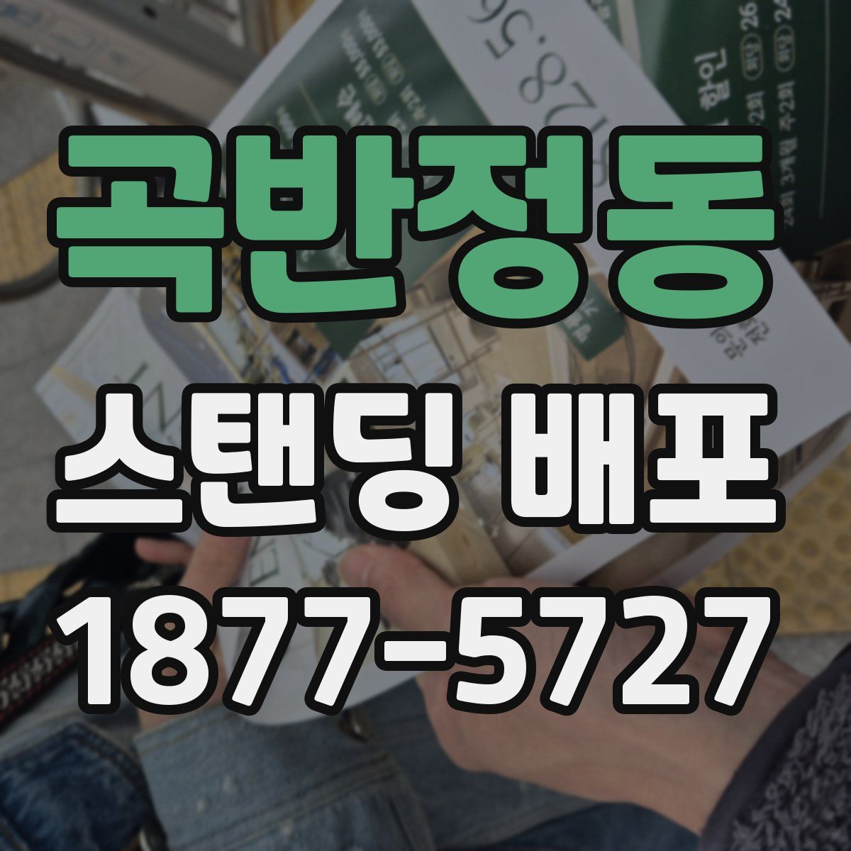 곡반정동 스탠딩 배포