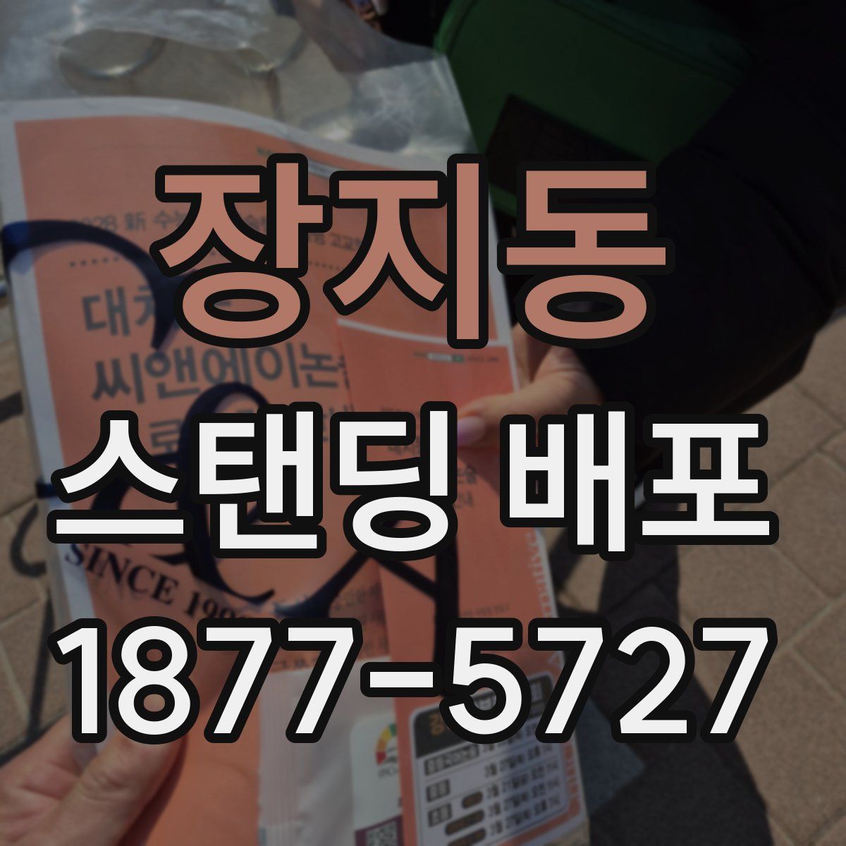 장지동 스탠딩 배포