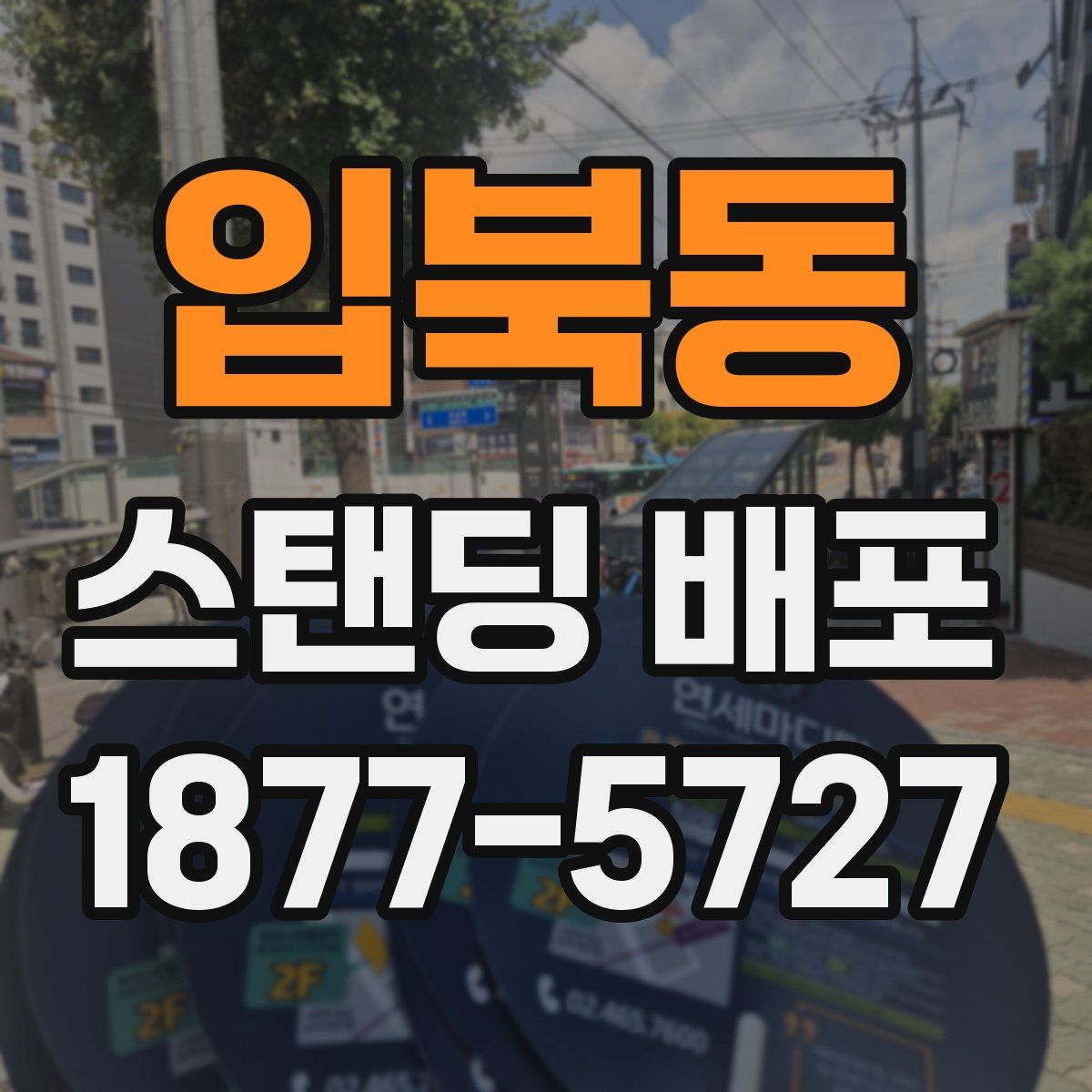 입북동 스탠딩 배포