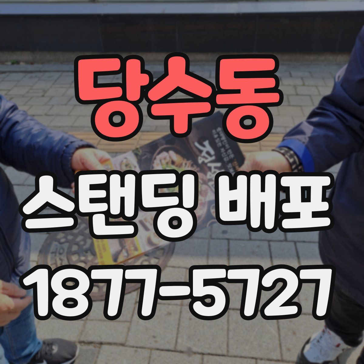 당수동 스탠딩 배포