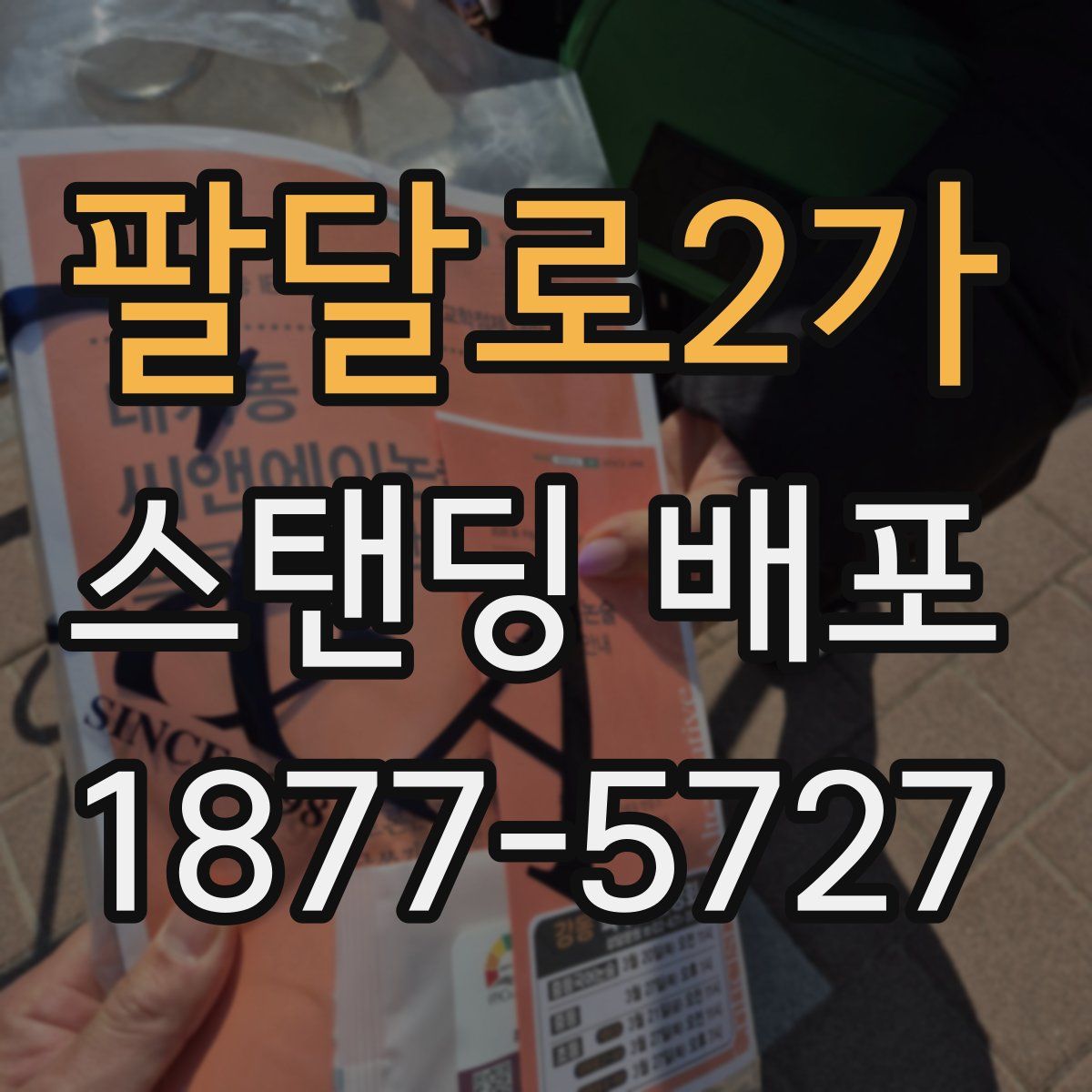 팔달로2가 스탠딩 배포