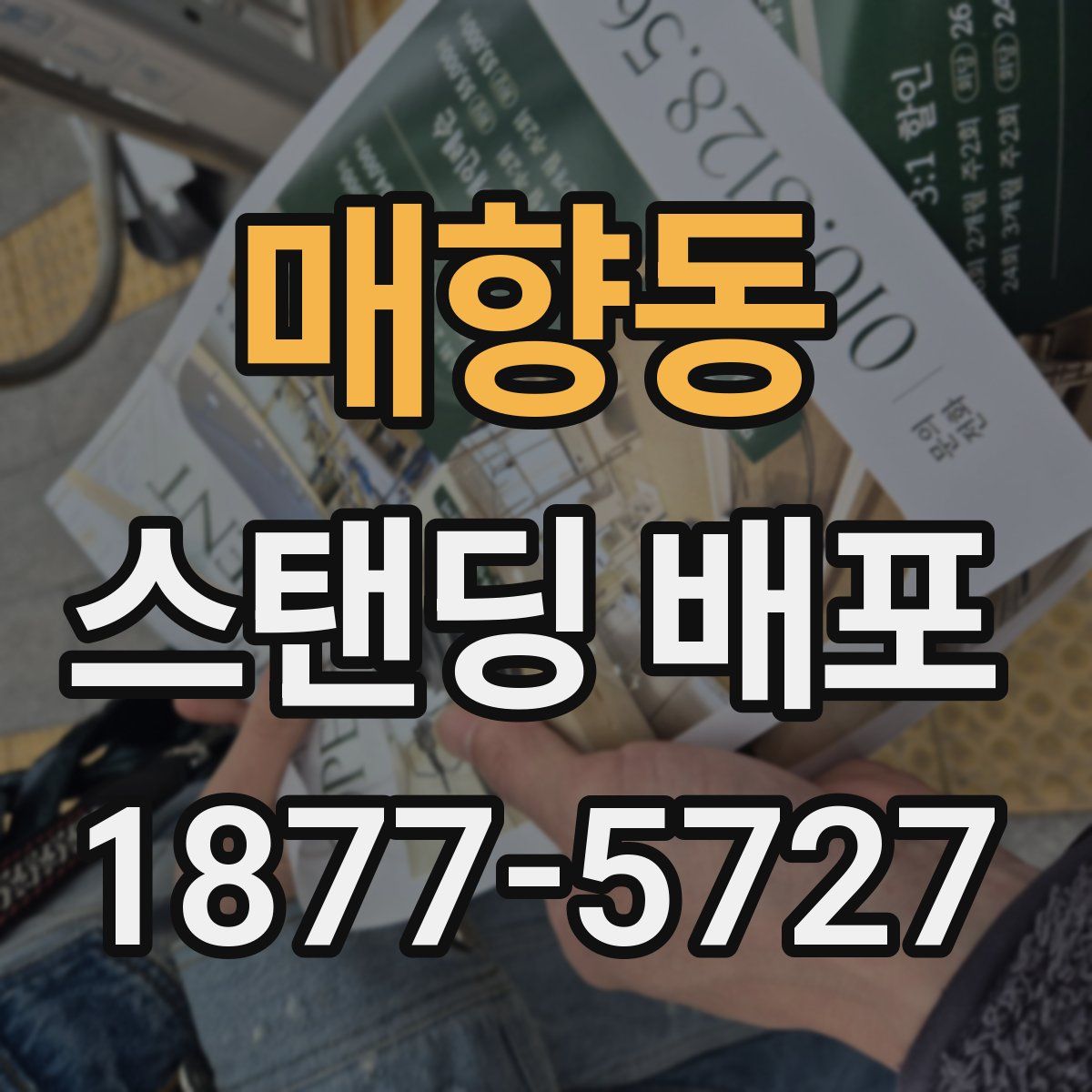 매향동 스탠딩 배포