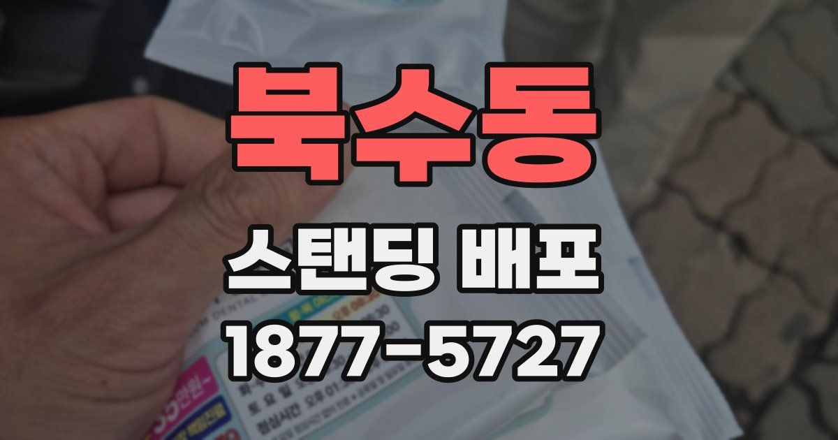 북수동 스탠딩 배포