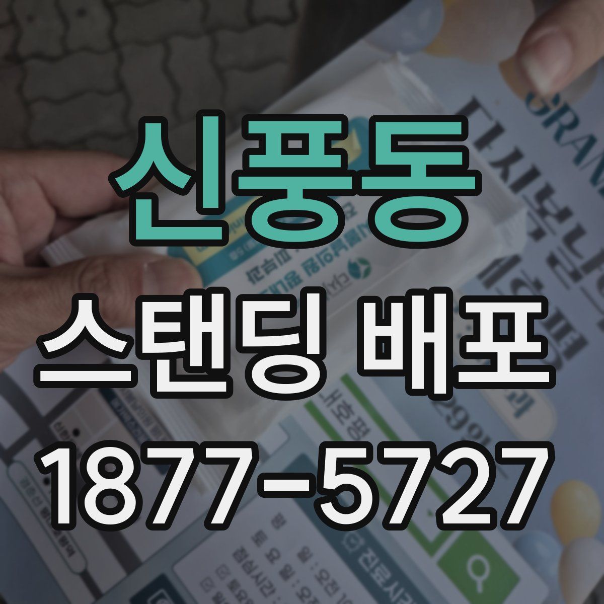 신풍동 스탠딩 배포