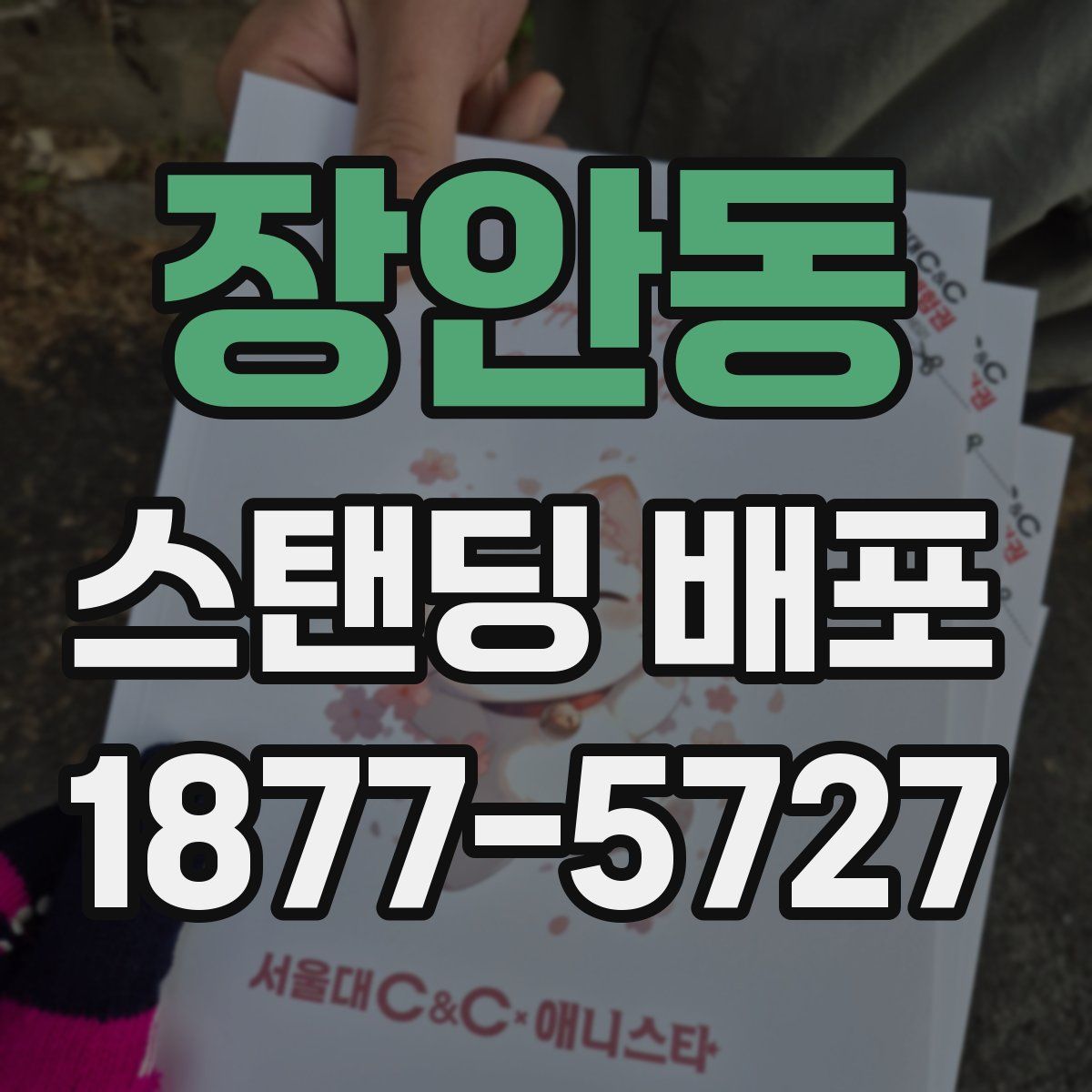 장안동 스탠딩 배포