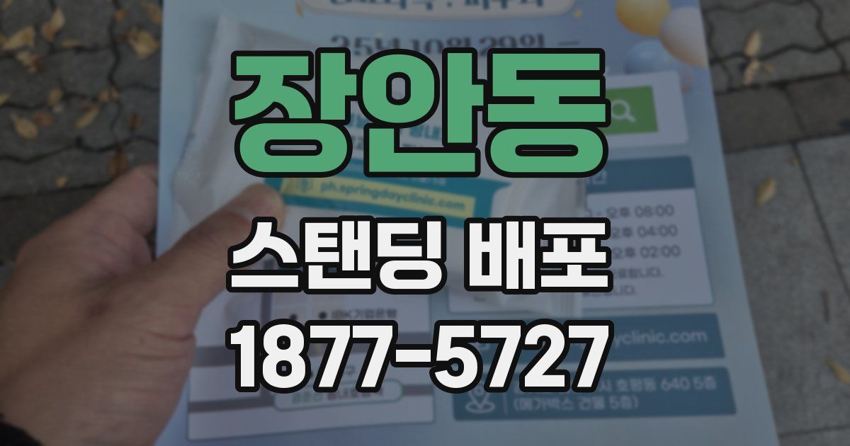 장안동 스탠딩 배포